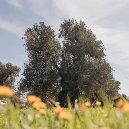 Masseria San Lorenzo Resort Fasano Buitenkant foto