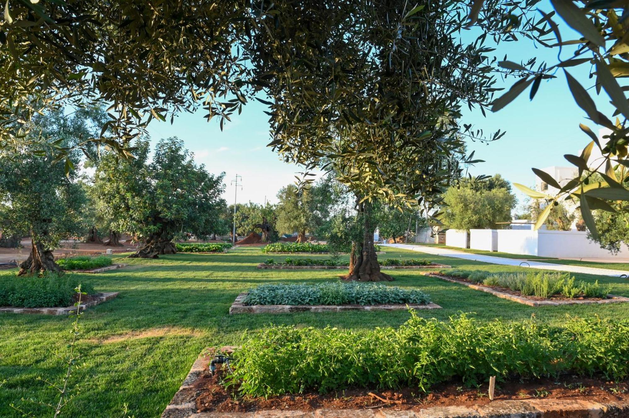 Masseria San Lorenzo Resort Fasano Buitenkant foto